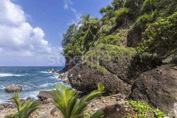 Cênico paisagem Dominica cidade praia Foto stock © meinzahn