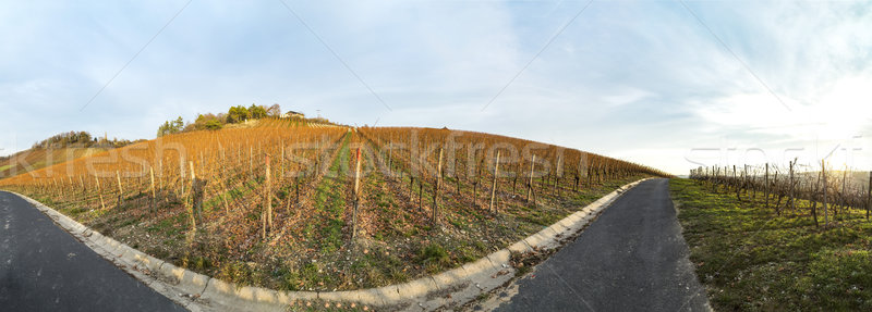 виноградник реке основной зима закат цвета Сток-фото © meinzahn