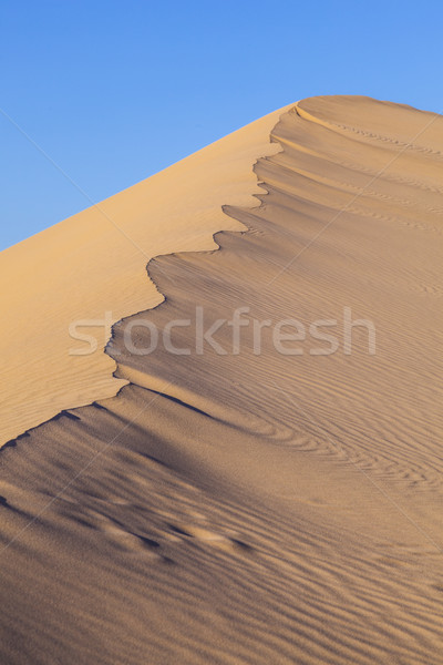 Duin zonsopgang woestijn mooie zon licht Stockfoto © meinzahn