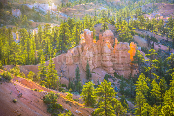 beautiful landscape in Bryce Canyon with magnificent Stone forma Stock photo © meinzahn