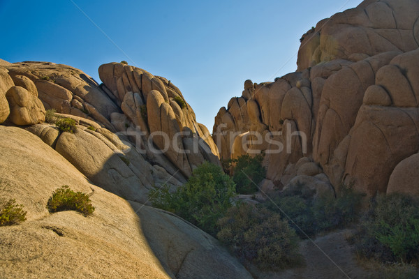 scenic washed out Jumbo rocks in the National Park  Stock photo © meinzahn