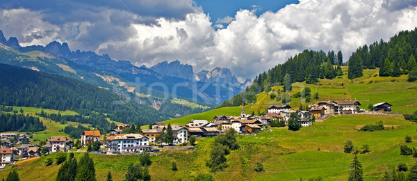 view over the meadows and agriculture in the dolomite alpes, nea Stock photo © meinzahn