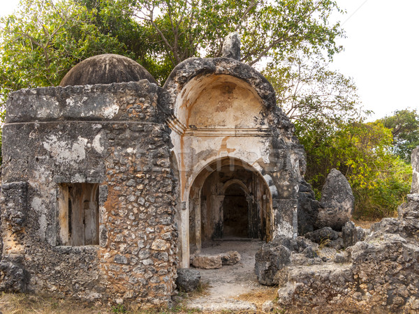 old mosque ruins at Kilwa Kisivani Stock photo © meinzahn