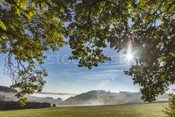 Ködös vidéki táj reggel kék ég tájkép napfelkelte Stock fotó © meinzahn