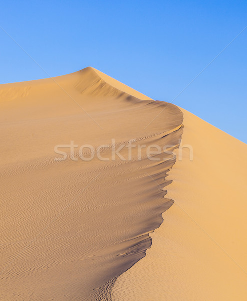 Świt pustyni piękna słońce świetle Zdjęcia stock © meinzahn