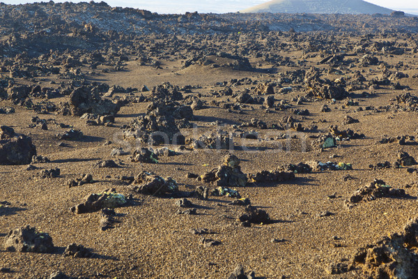 volcanic stone formations in Timanfaya National Park in Lanzarot Stock photo © meinzahn