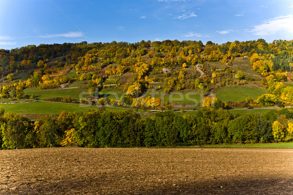 Stockfoto: Heuvels · vallei · rivier · landschap · licht