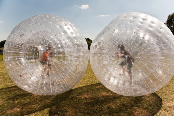 children have a lot of fun in the Zorbing Ball Stock photo © meinzahn