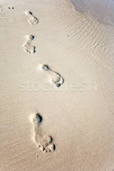 Menselijke volwassen voetafdruk zand strand water Stockfoto © meinzahn