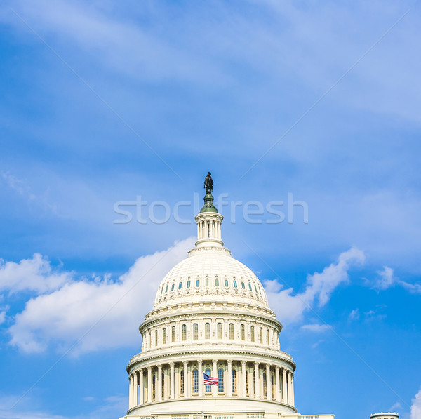 Capital Building, Washington  Stock photo © meinzahn