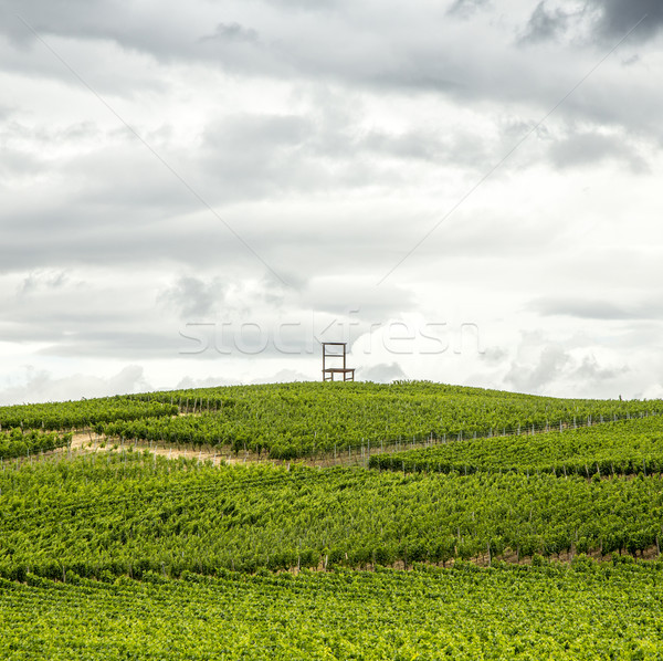 Vineyards of the Kaiserstuhl region, Baden-Wurttemberg, Germany  Stock photo © meinzahn
