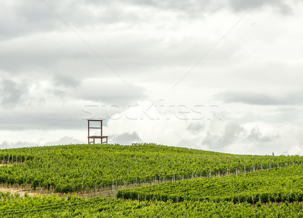 Vineyards of the Kaiserstuhl region, Baden-Wurttemberg, Germany  Stock photo © meinzahn