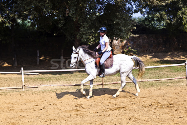 female rider trains the horse in the riding course Stock photo © meinzahn