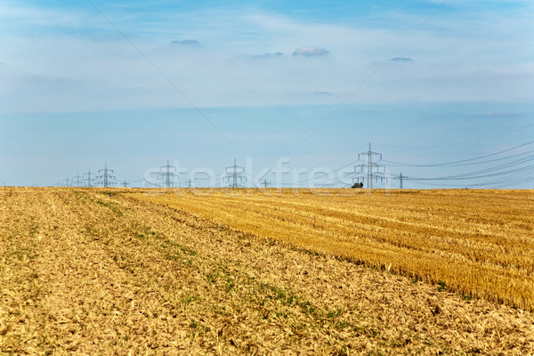 Torre eletricidade belo paisagem dourado campos Foto stock © meinzahn