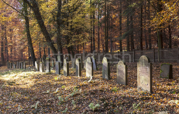 Oude begraafplaats eiken bos hout landschap Stockfoto © meinzahn