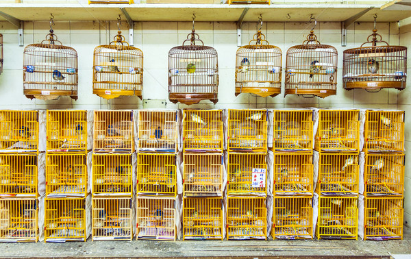 birds in a cage at the birds market in Hongkong Stock photo © meinzahn