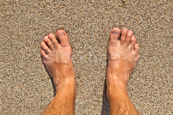 feet at the beach Stock photo © meinzahn