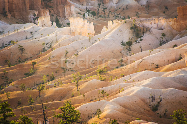 beautiful landscape in Bryce Canyon with magnificent Stone forma Stock photo © meinzahn