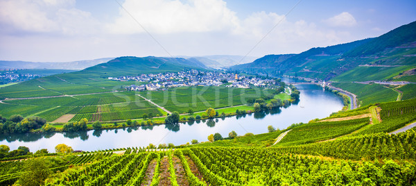 famous Moselle Sinuosity with vineyards Stock photo © meinzahn