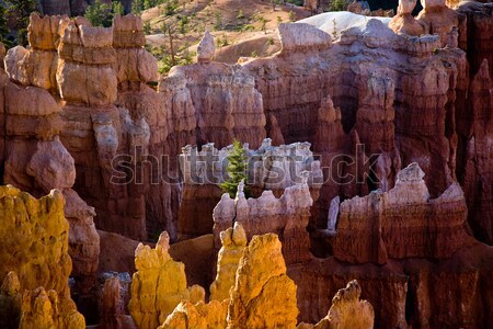 Belo paisagem desfiladeiro magnífico pedra formação Foto stock © meinzahn