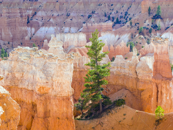 Frumos peisaj canion piatră formare Imagine de stoc © meinzahn