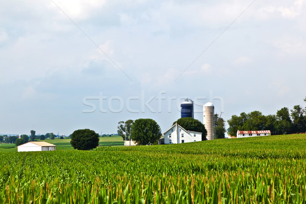 Foto d'archivio: Farm · casa · campo · bella · panorama · tramonto