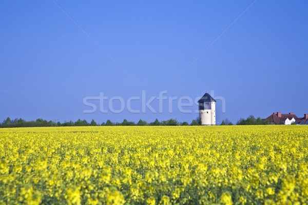 water tower in beautiful landscape with blue sky Stock photo © meinzahn