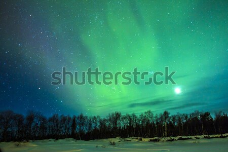 Northern Lights (Aurora borealis) over snowscape.  Stock photo © meinzahn