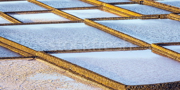 Salt refinery, Saline from Janubio, Lanzarote, Spain Stock photo © meinzahn
