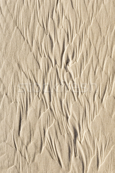 water forms spectacular patterns at the sandy beach Stock photo © meinzahn