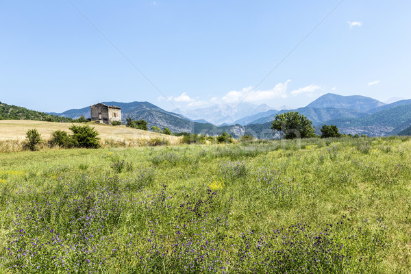 Stock photo: landscape in the Provence with view to the Alps