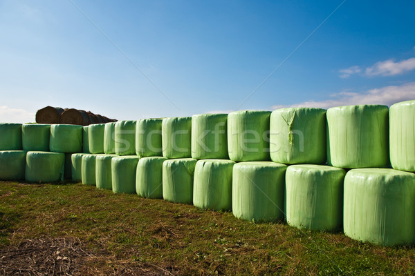 bale of straw infold in plastic film (foil) to keep dry  Stock photo © meinzahn