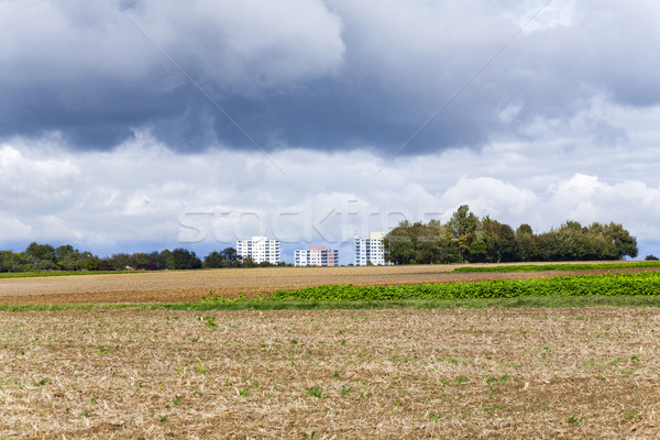 housing blocks in beautiful landscape Stock photo © meinzahn