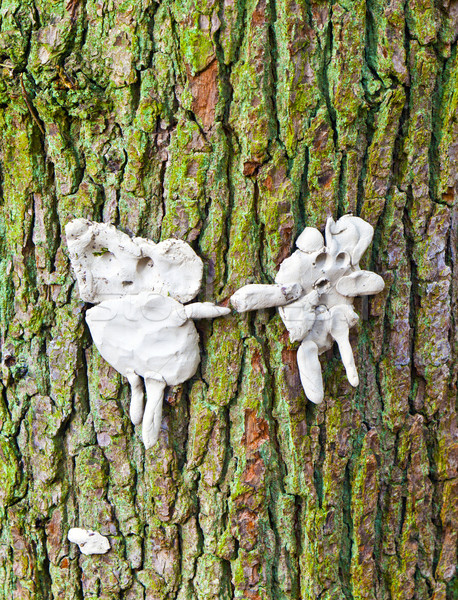 man and wife out of chewing gum posted at a tree Stock photo © meinzahn