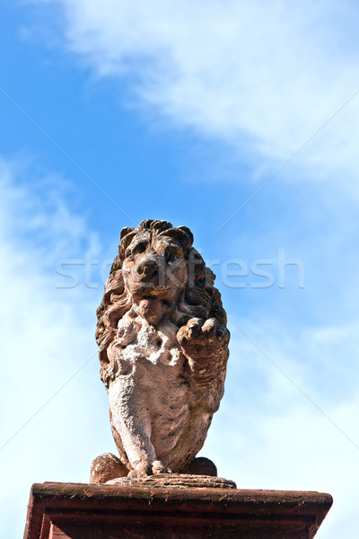 Lew piaskowiec niebo wiosną tle sztuki Zdjęcia stock © meinzahn