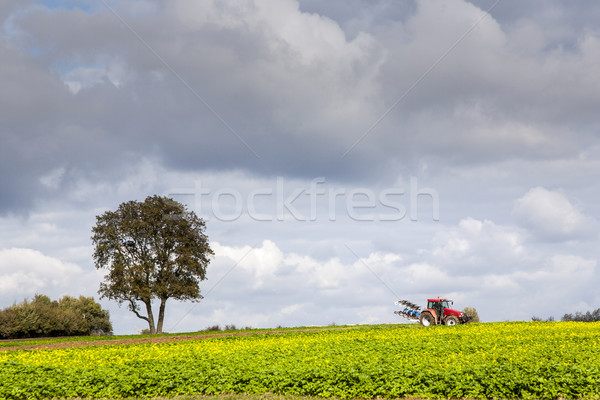farmer is ploughing his acres with the traktor Stock photo © meinzahn