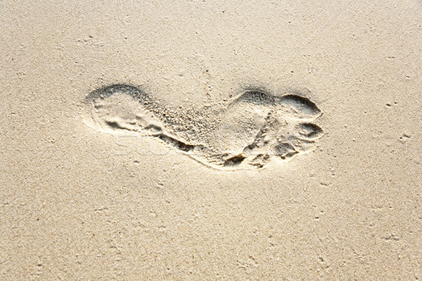 human adult footprint in the fine sand at the beach Stock photo © meinzahn