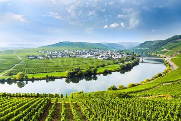 famous Moselle Sinuosity with vineyards Stock photo © meinzahn