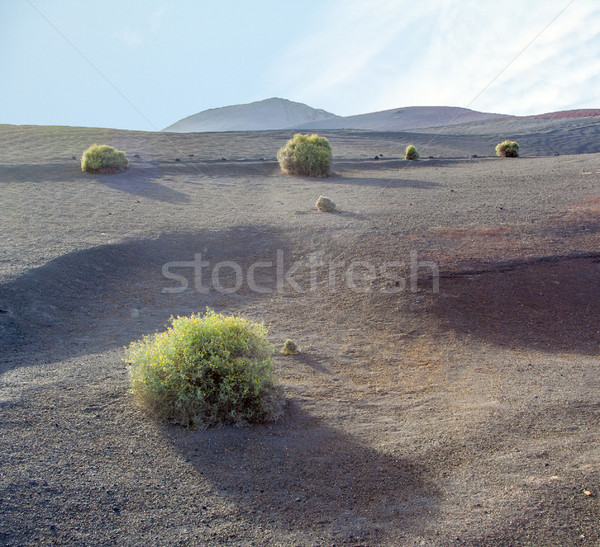 volcanic landscape in national park Timanfaya  Stock photo © meinzahn