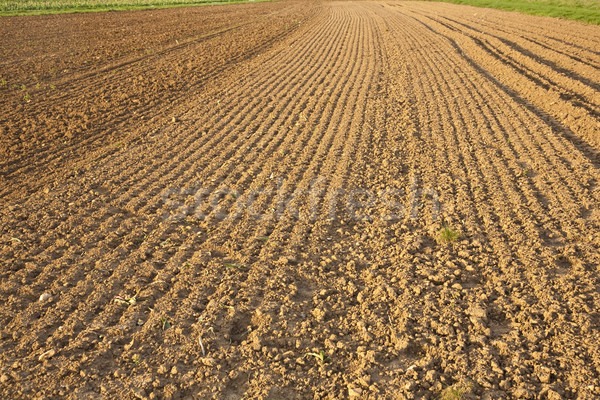 Background of newly plowed field  Stock photo © meinzahn