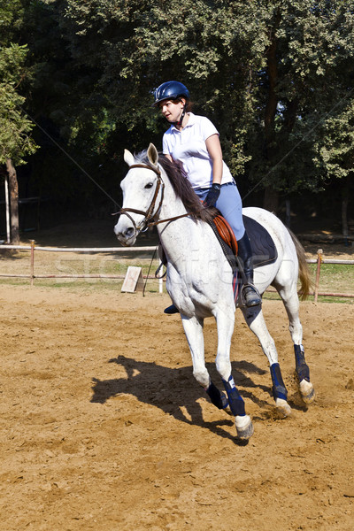 female rider trains the horse in the riding course Stock photo © meinzahn