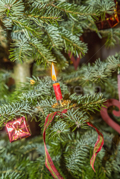 商业照片: 红色 · 蜡烛 · 火焰 · 自然 · 圣诞树 ·火