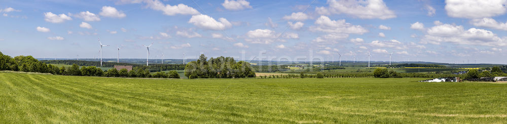 Panorama Ansicht Wind Himmel Gras Natur Stock foto © meinzahn