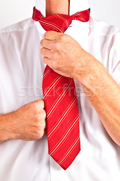 man binding his tie Stock photo © meinzahn