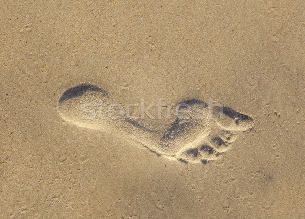 footprints at the beach Stock photo © meinzahn