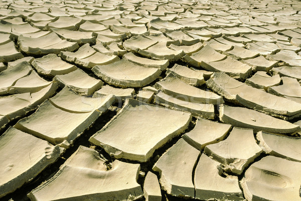 Barfuß getrocknet Erde Wüste Wasser Fuß Stock foto © meinzahn