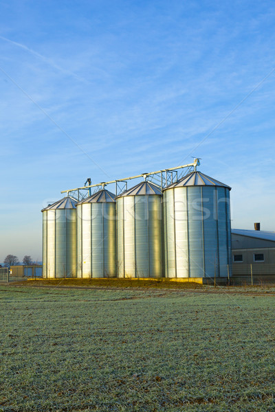 field in harvest with silo Stock photo © meinzahn