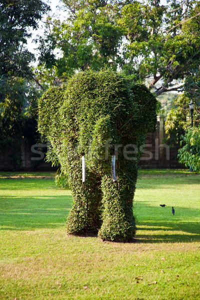 [[stock_photo]]: Coupé · animaux · parc · bang · douleur