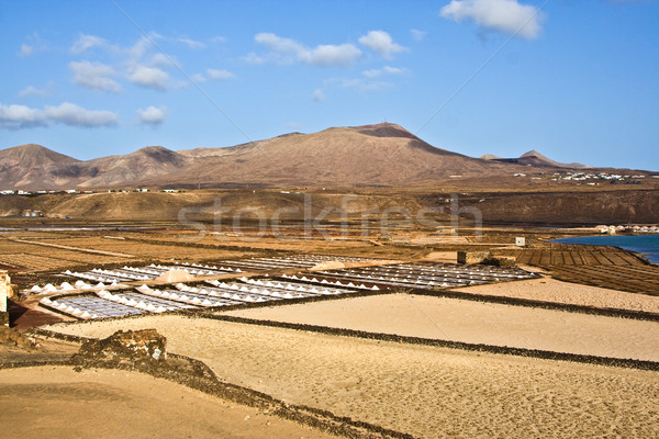  Saline from Janubio, Lanzarote, Spain Stock photo © meinzahn