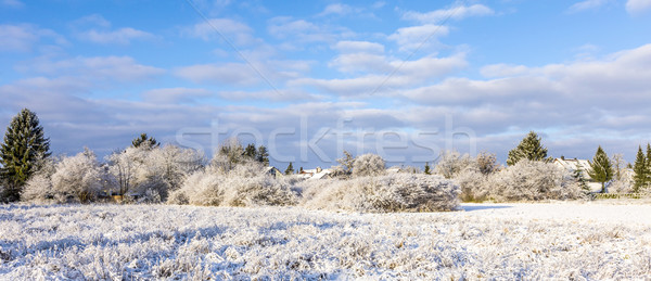 Foto stock: Neve · coberto · campos · horizonte · Munique · céu